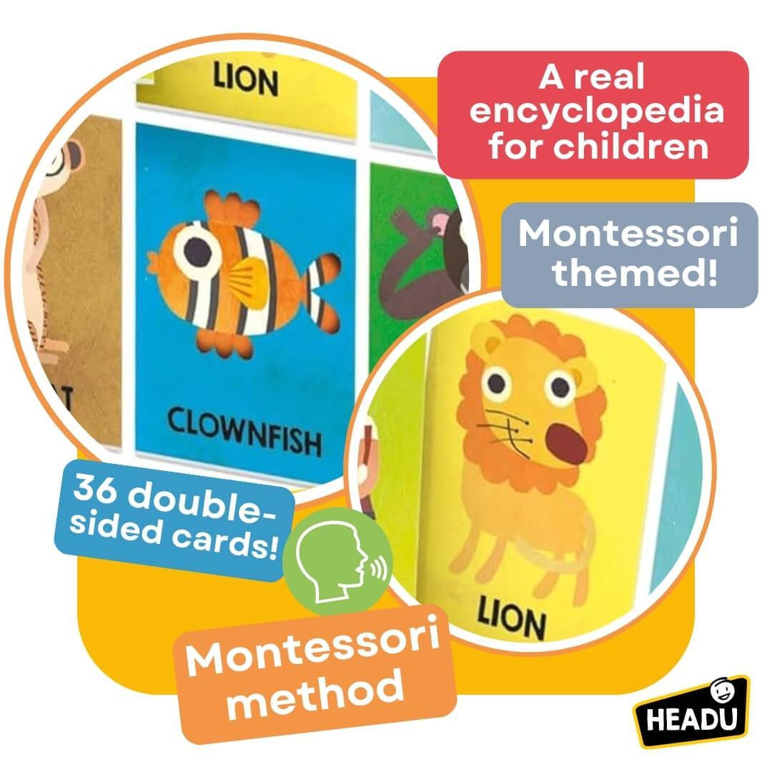 Headu-First-Animal-Encyclopedia_EN57533_6