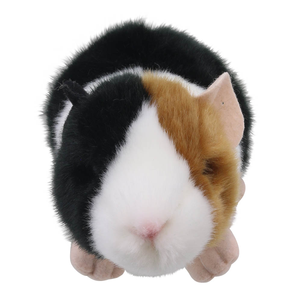 Guinea-Pig-Wilberry-Minis-WB005044-1