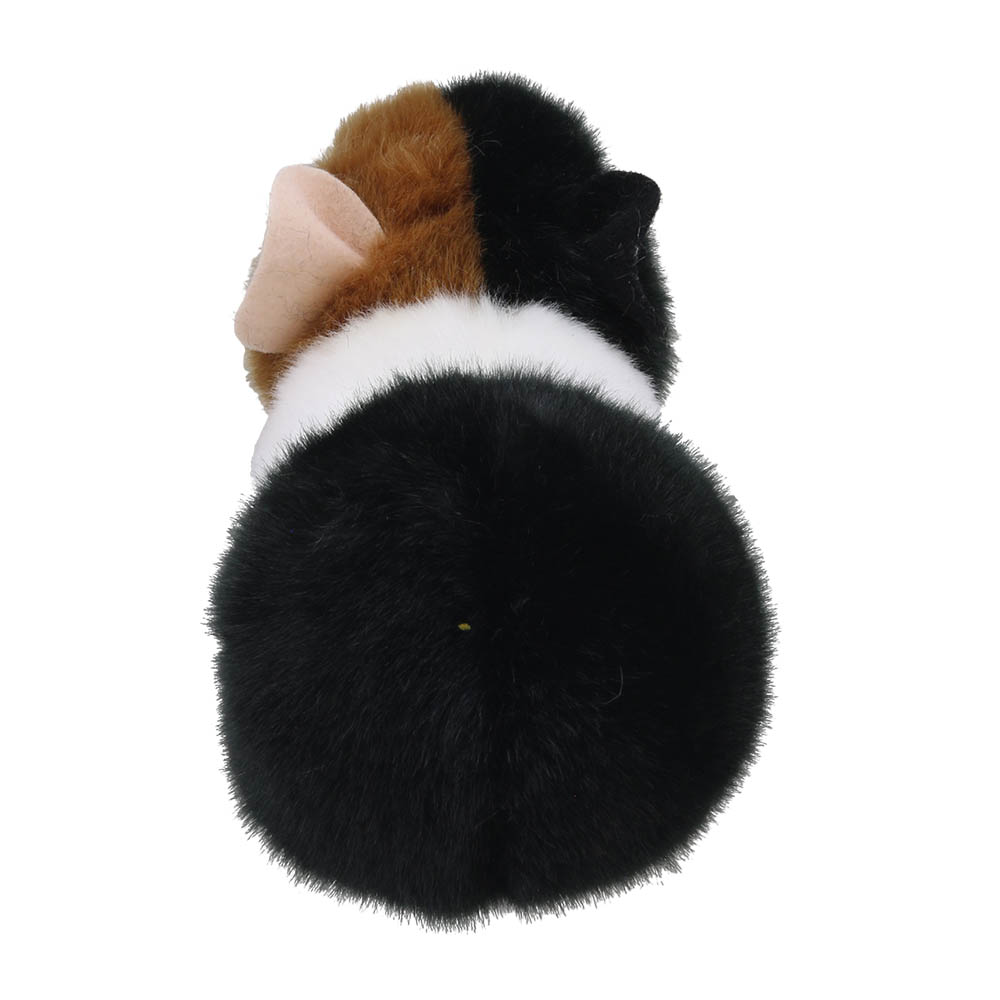 Guinea-Pig-Wilberry-Minis-WB005044-4