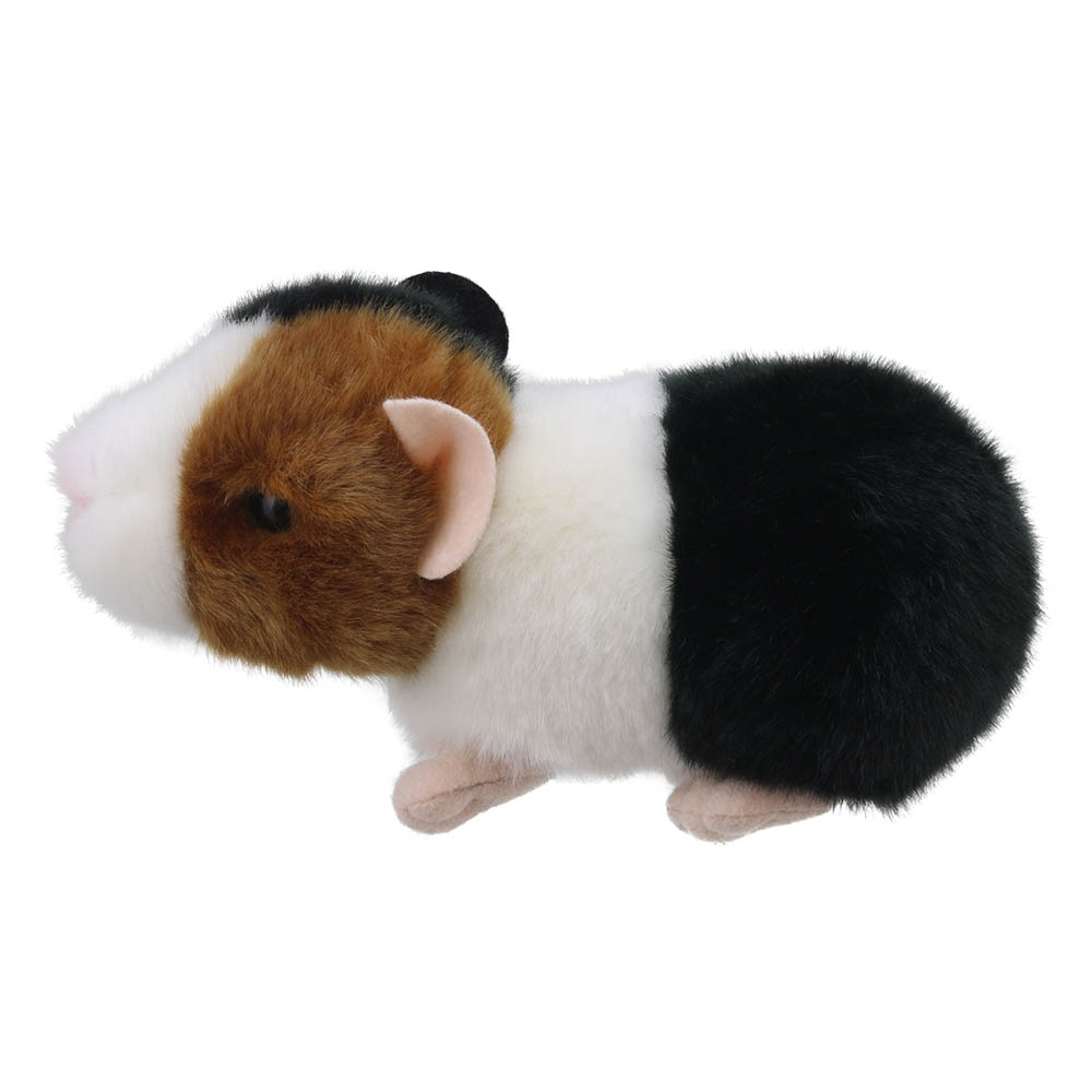 Guinea-Pig-Wilberry-Minis-WB005044-5