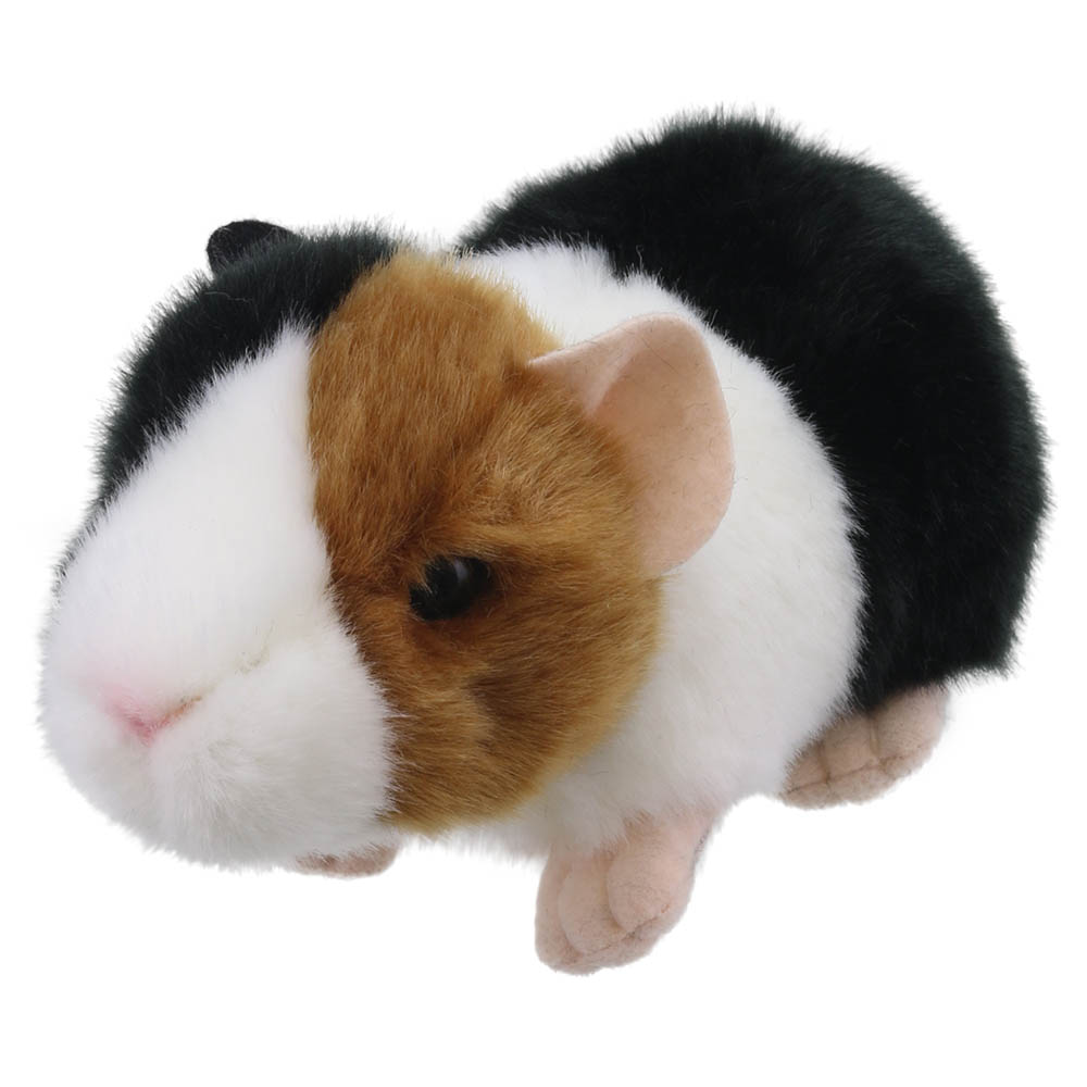Guinea-Pig-Wilberry-Minis-WB005044-6