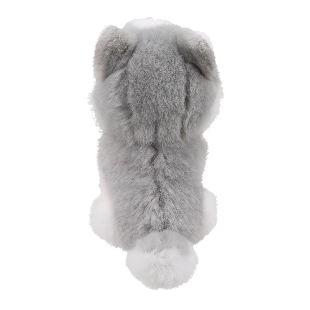 Husky-Wilberry-Minis-WB005053-4