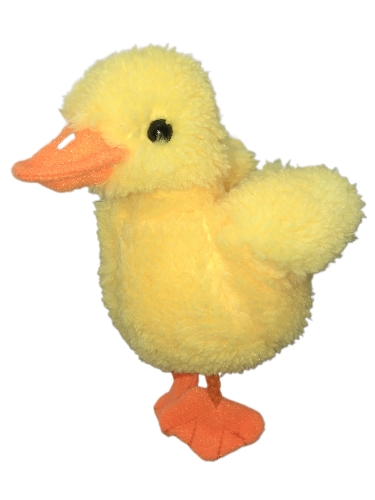 duck-2nd-002