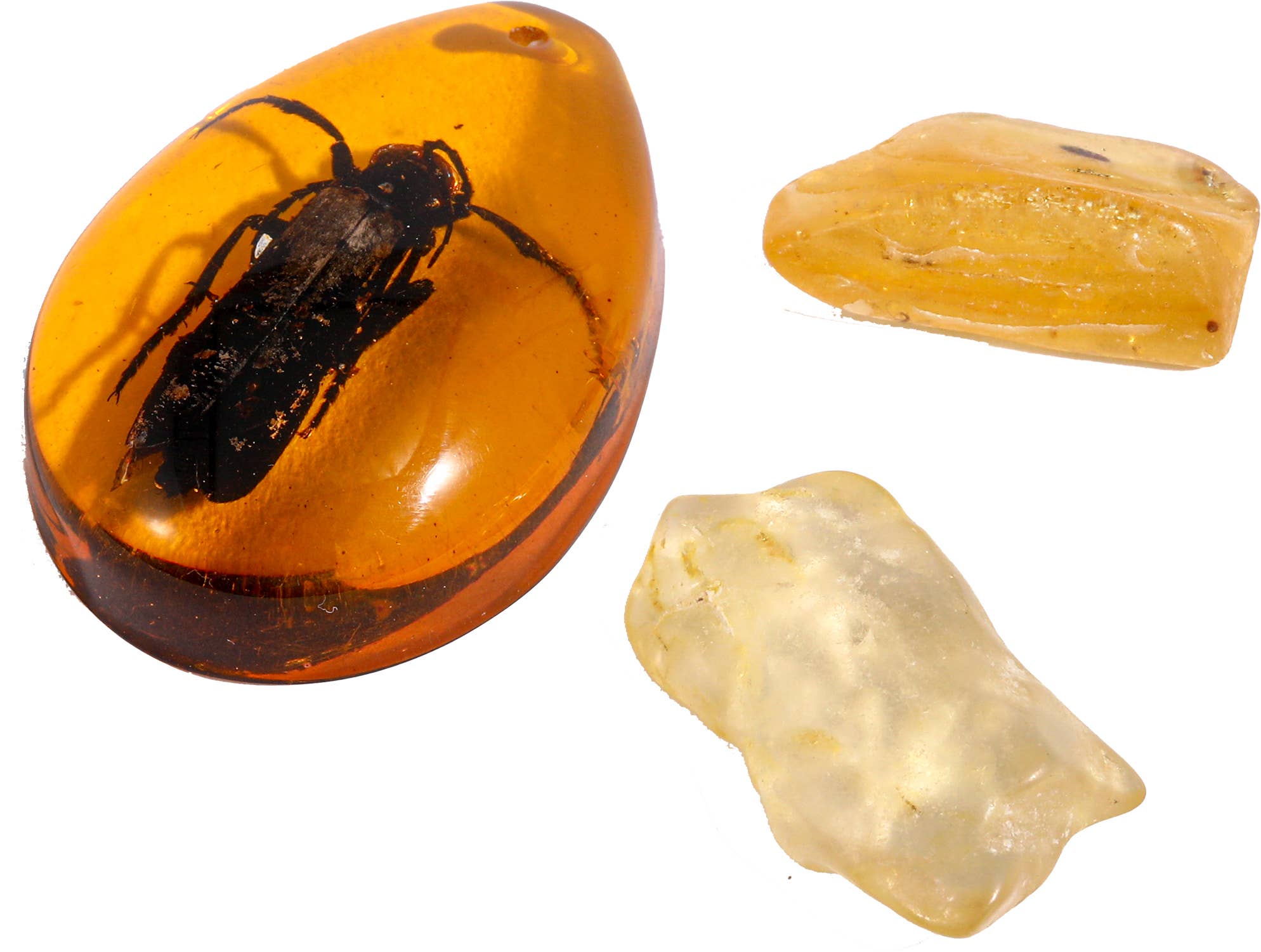 e23e03a62fd3b926a9880c1611e8ce87a635eebca57094351e0727185f60e60a