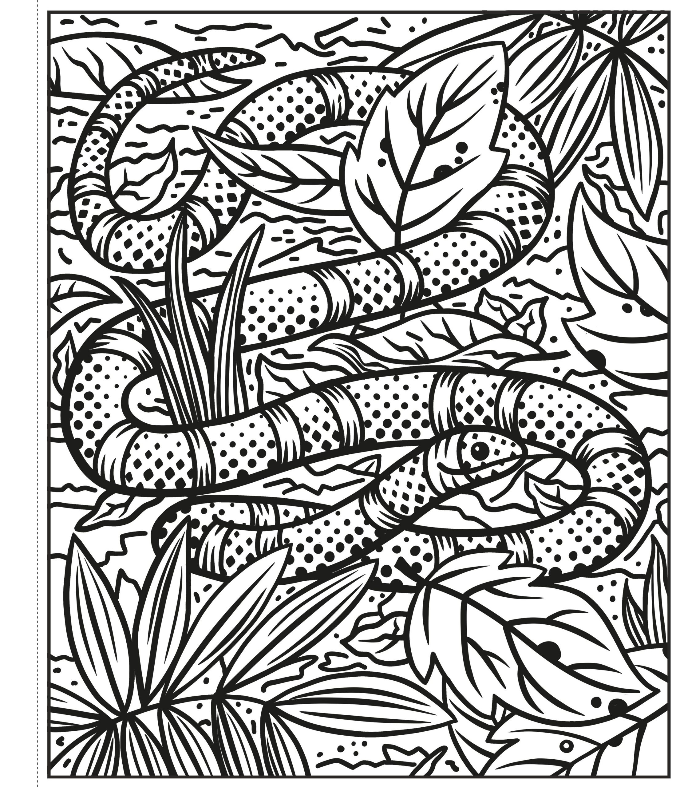 9781803701226_spread_image_1_1674691880