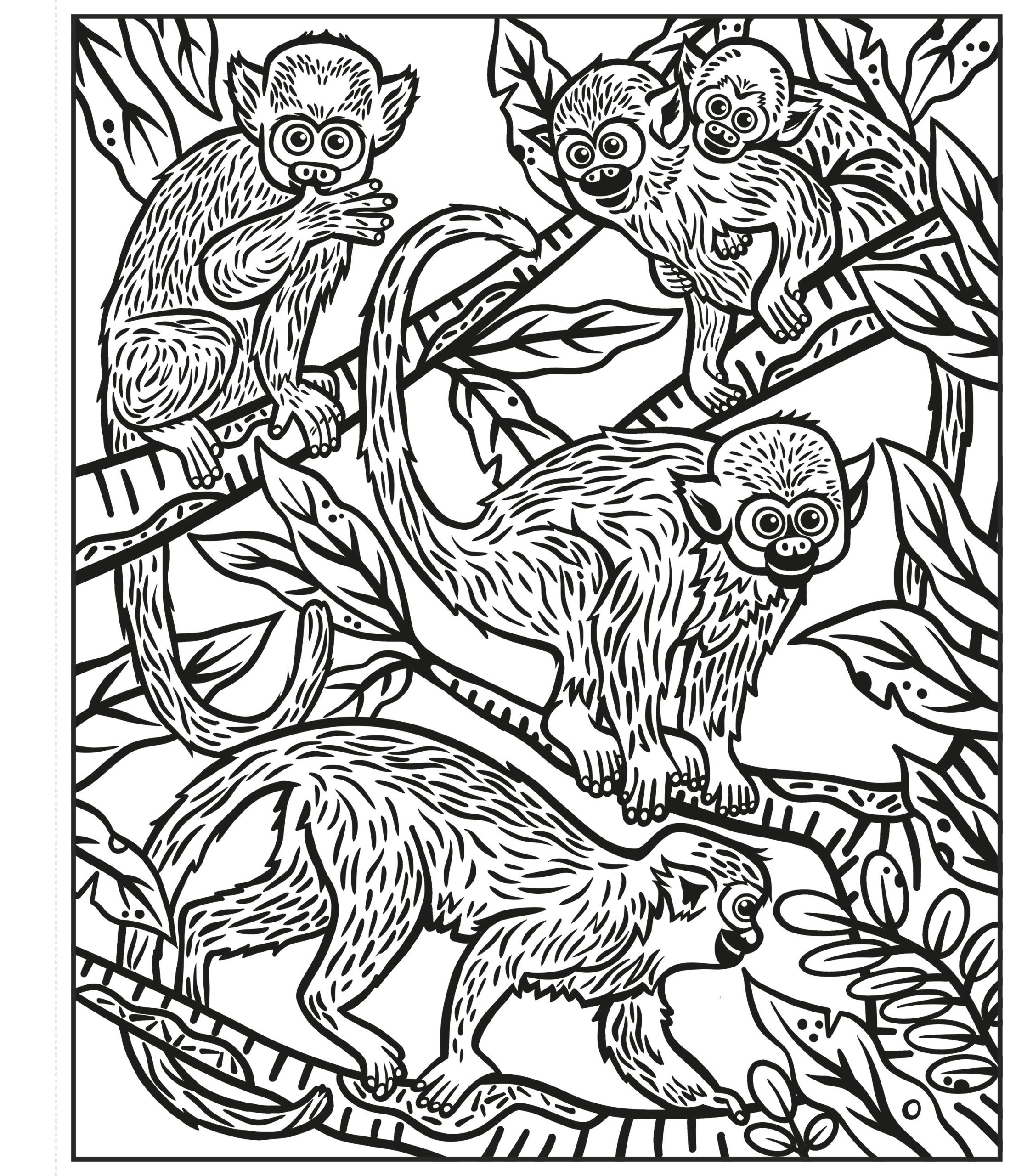 9781803701226_spread_image_2_