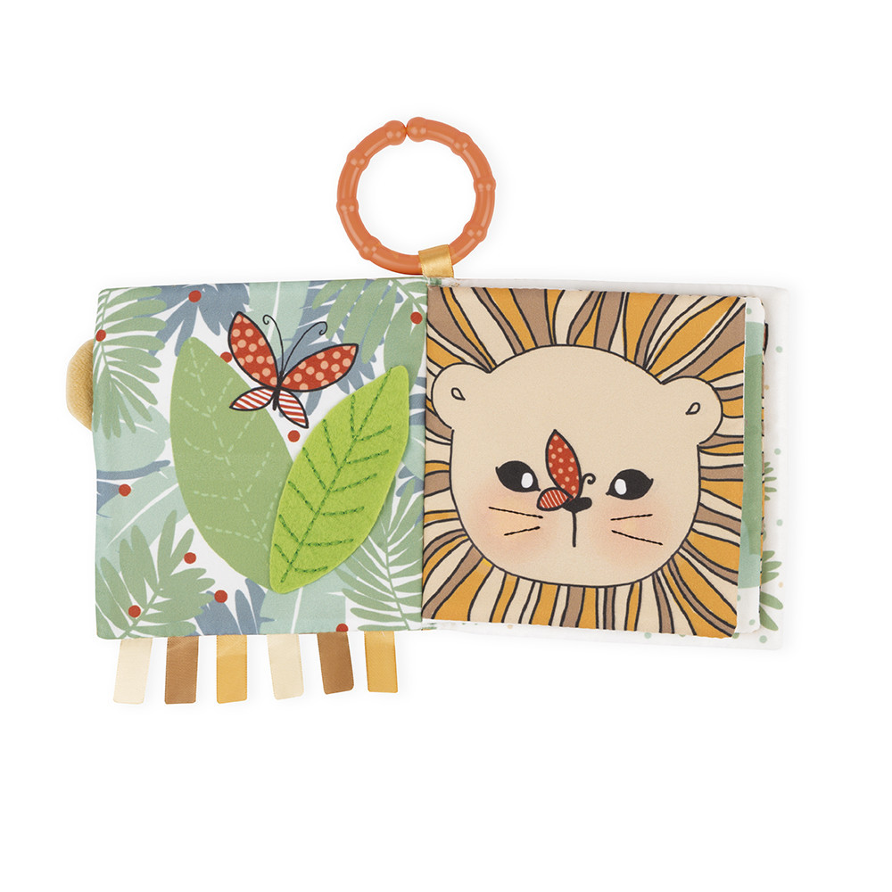 activity-book-the-curious-lion