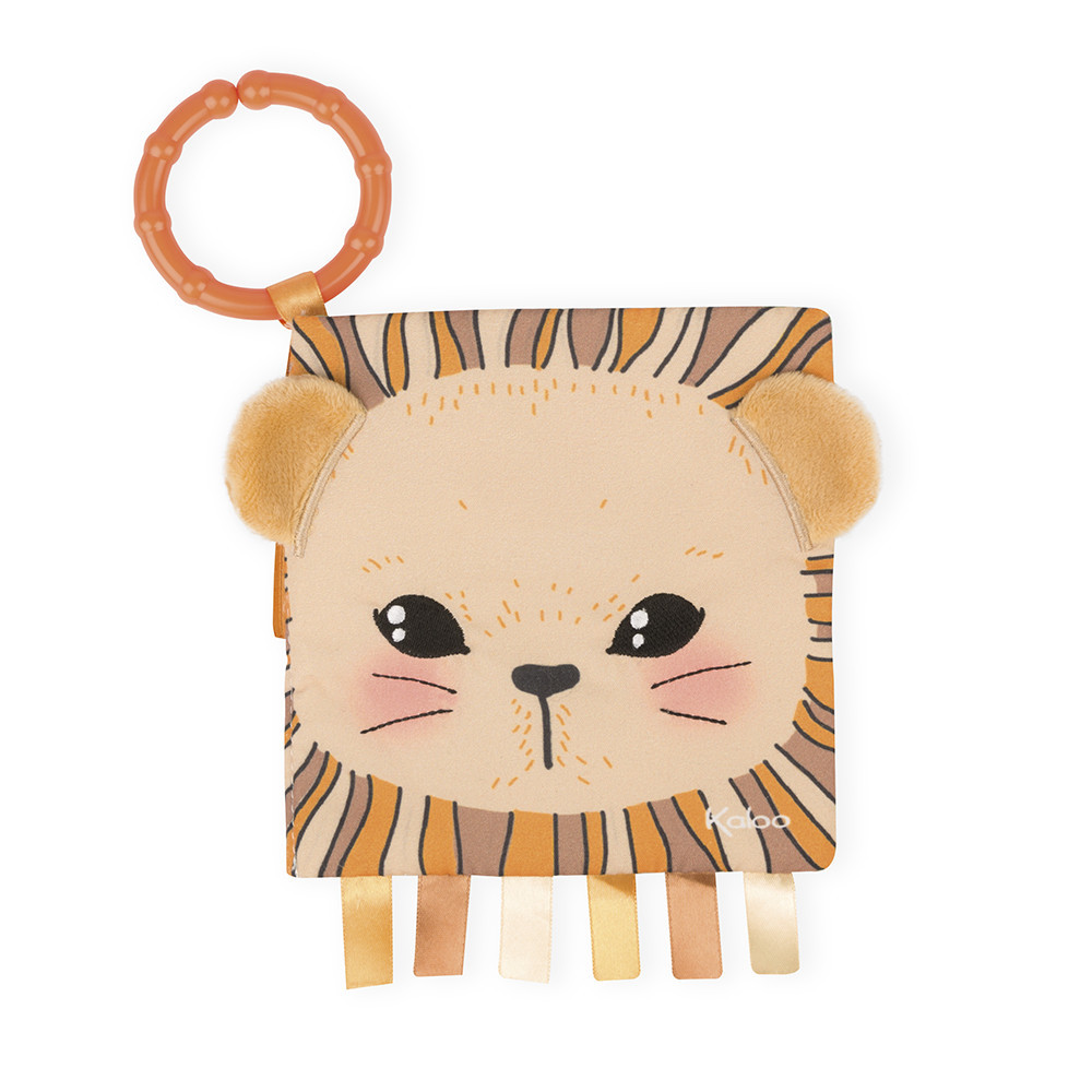 activity-book-the-curious-lion