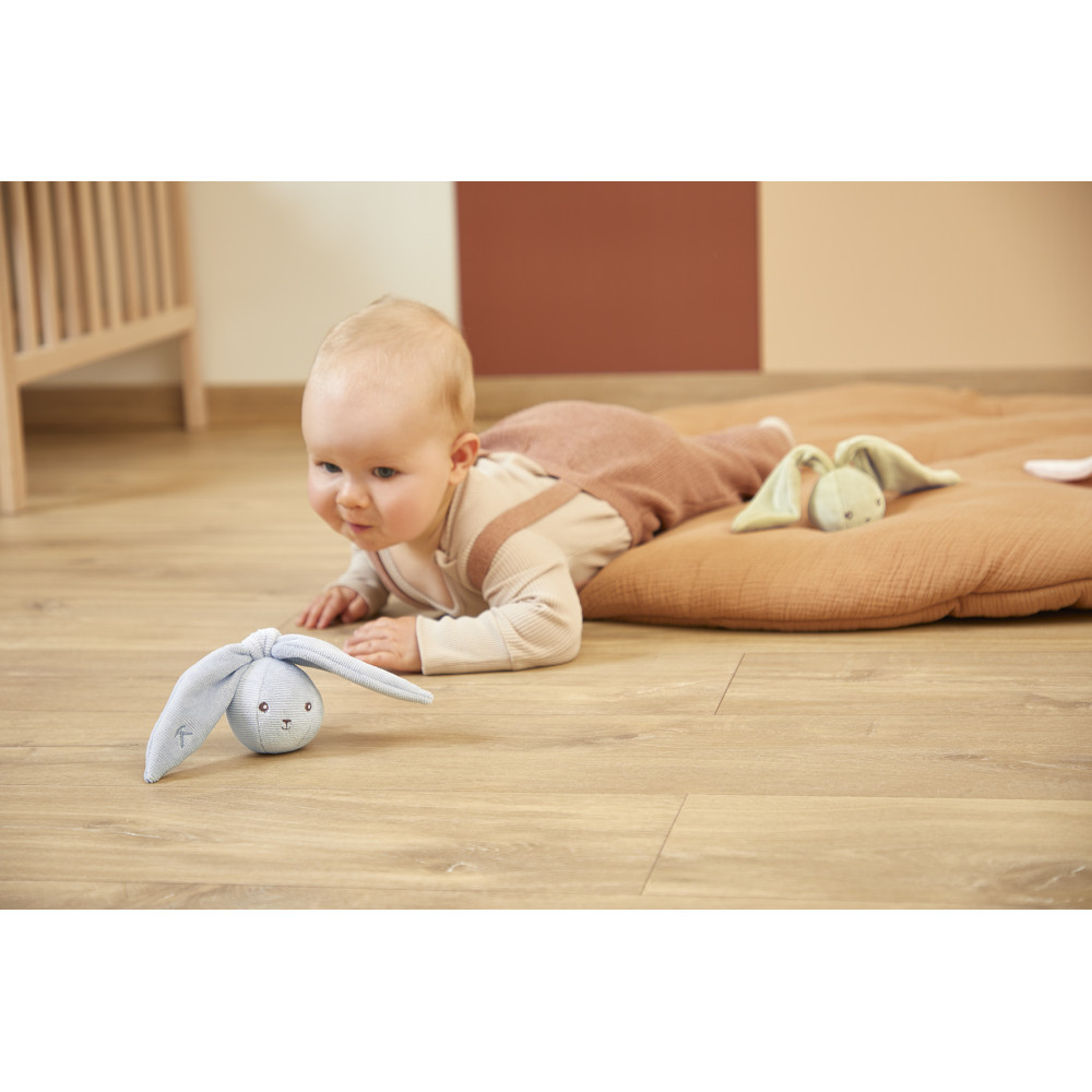 rabbit-rattle-ball-blue