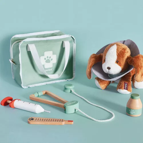 veterinarian-s-case