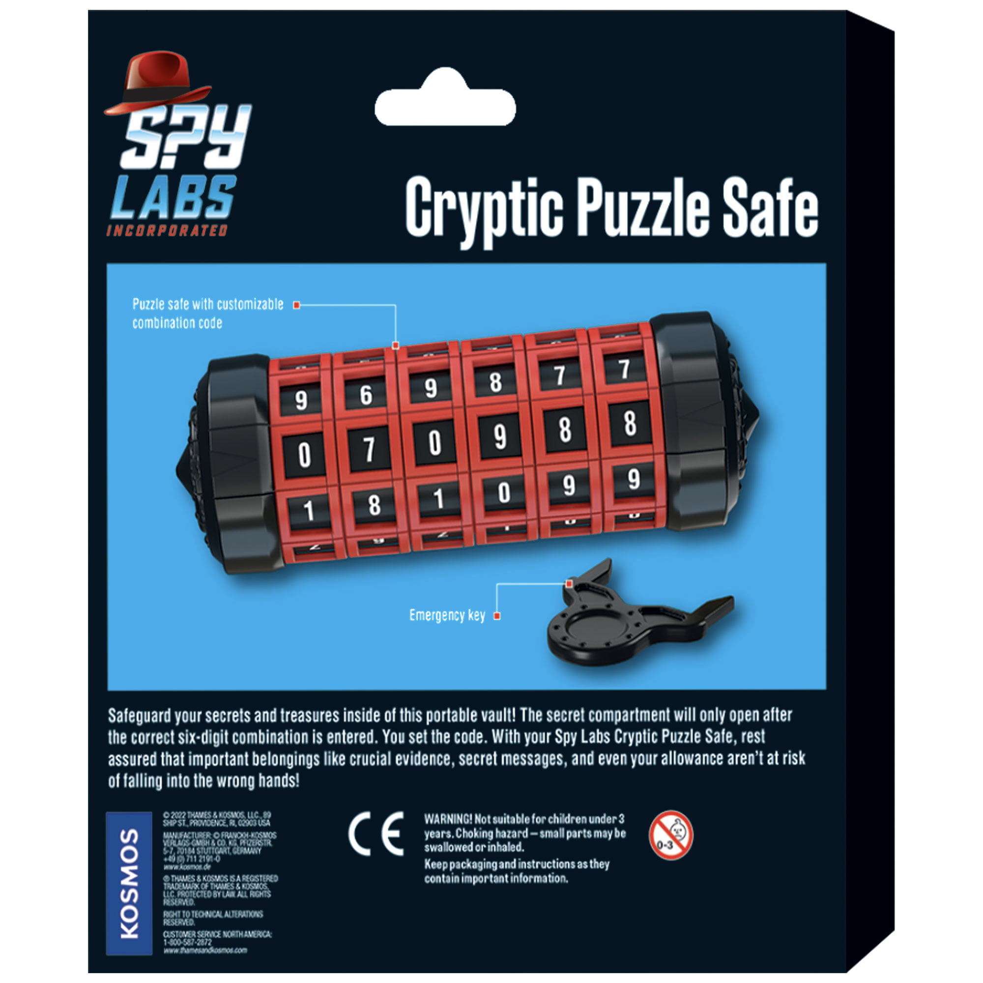 548007_CrypticPuzzle_box-back