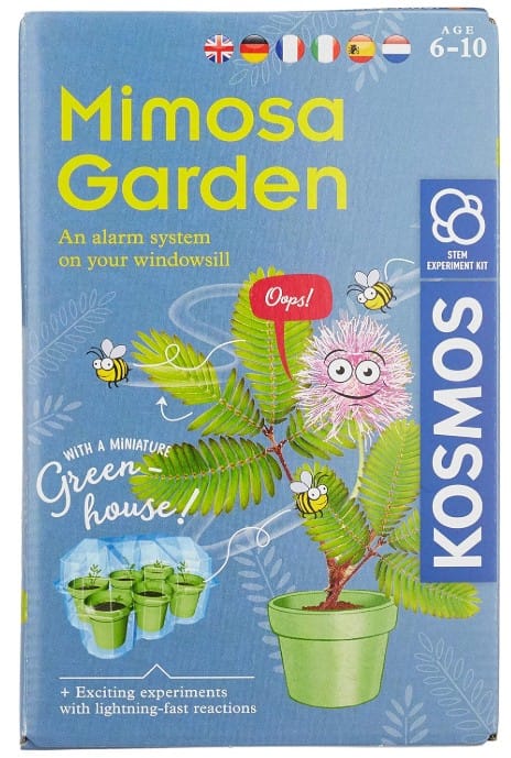 Mimosa-Garden-box-front