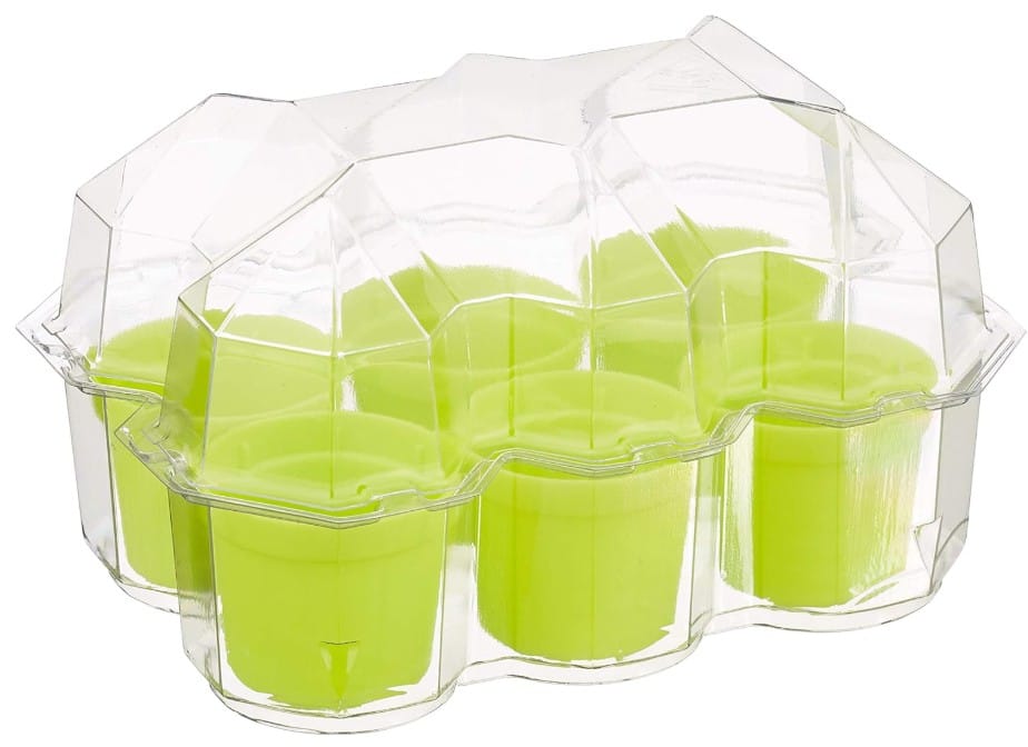 Mimosa-garden-contents-pots