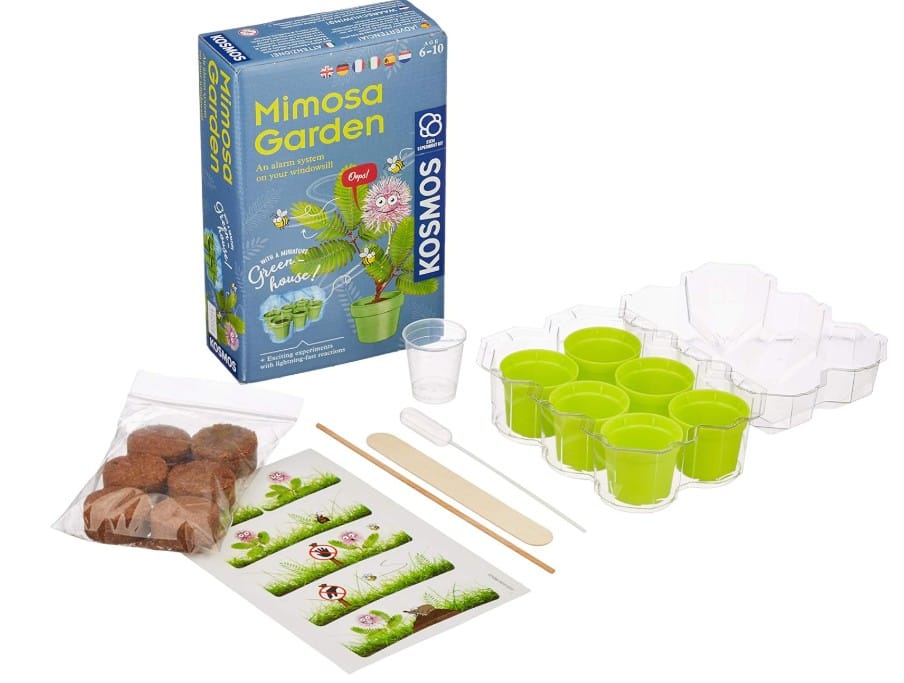 Mimosa-garden-contents-whole