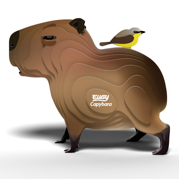D5090-EUGY-Capybara-Side-WEB