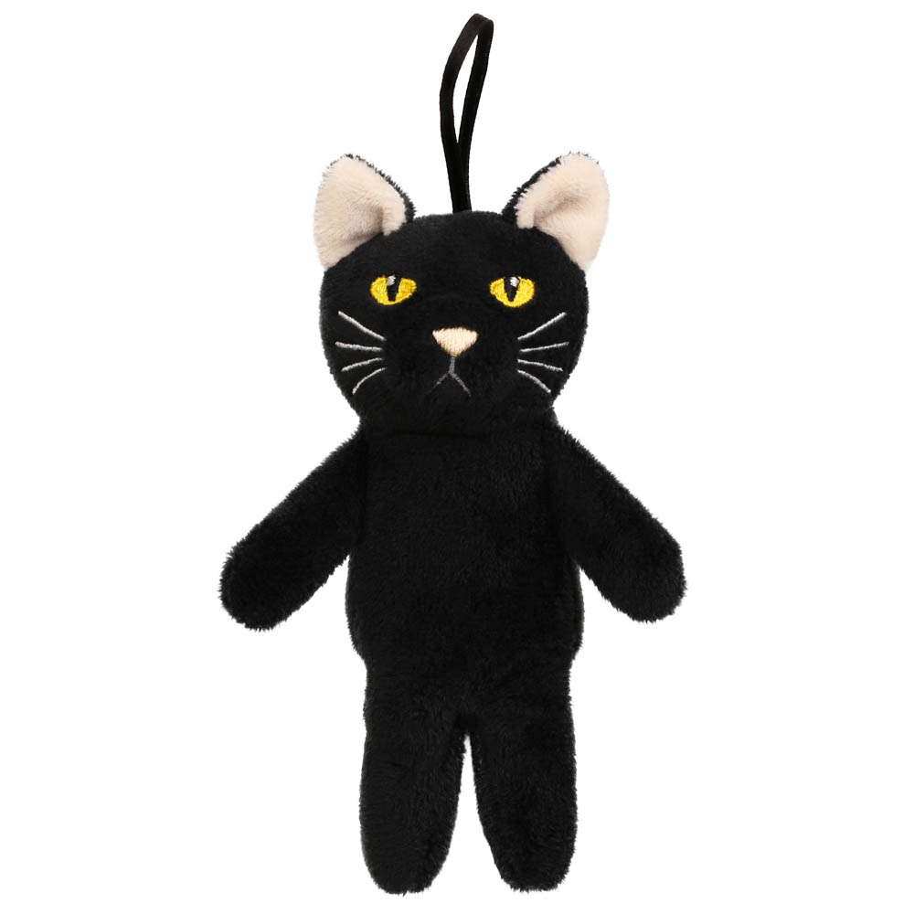 Black-Cat